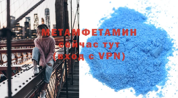 индика Козловка