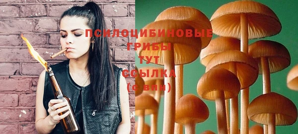 мет Корсаков