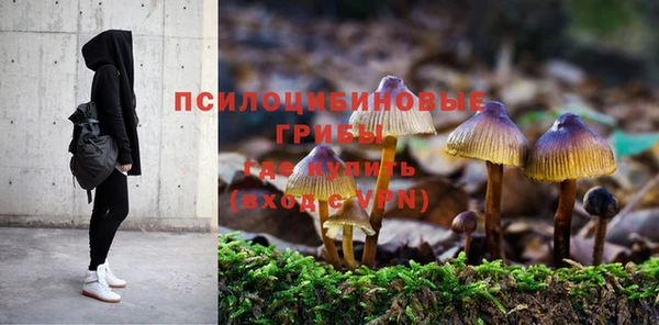 мет Корсаков