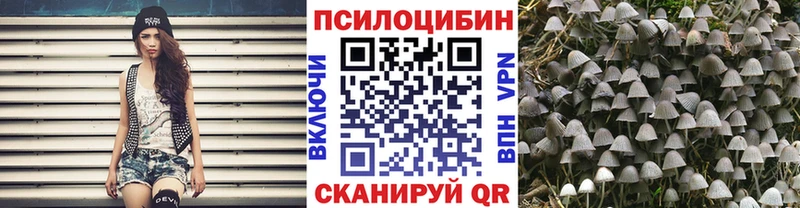 Купить закладки  Трубчевск  Псилоцибиновые грибы прущие грибы 